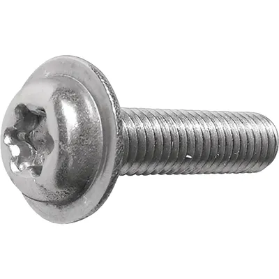 Surub Torx 48x35 250 buc